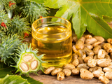 Premium Castor Oil