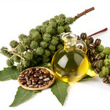Premium Castor Oil